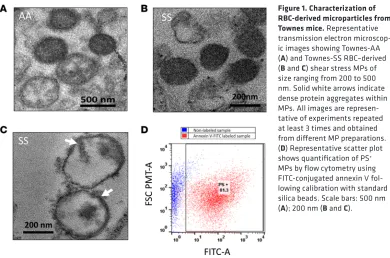 Figure 1. Characterization of RBC-derived microparticles from 