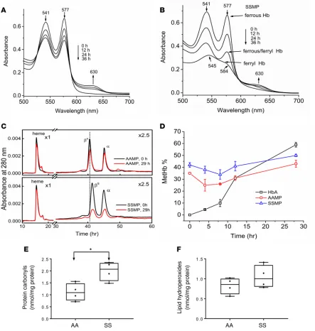 Figure 2. Hemoglobin S within microparticles undergoes oxidation and oxidative changes