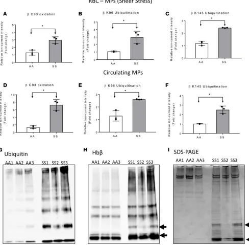 Figure 5. Representations of amino acid posttranslational modifications reveal significant changes in both shear stress and circulating microparticles