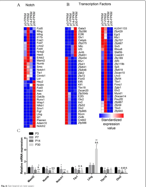 Fig. 6 (See legend on next page.)