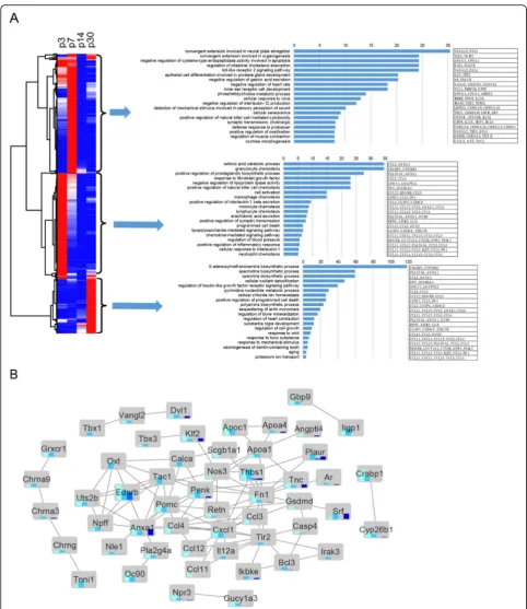 Fig. 7 Global comparisons of differentially expressed genes among four time points by hierarchical clustering and gene ontology analysis.represents one gene, and each column represents one time point