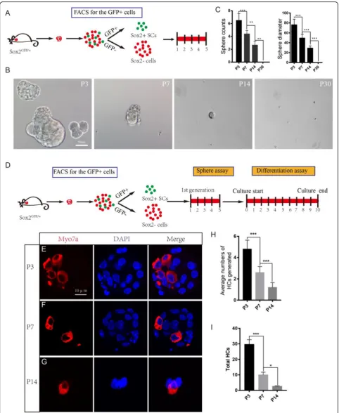 Fig. 2 (See legend on next page.)