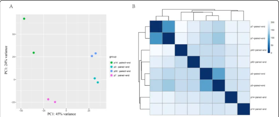 Fig. 4 Principal component analysis and sample clustering analysis of expressed genes in P3, P7, P14, and P30 Sox2+ SCs.analysis of expressed genes for all replicates