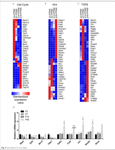 Fig. 5 (See legend on next page.)