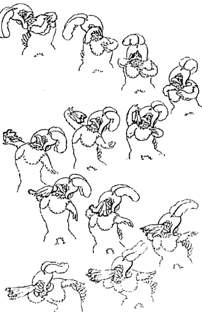 Figure 15 The illustration of ‘Follow Through and Overlapping Action’: the feather and 
