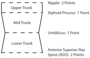 Fig. 3. Anatomical landmarks and segmentation process