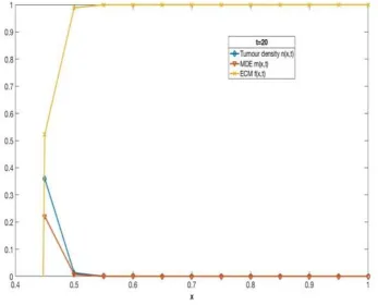 Figure 3 One-dimensional RDTM solution of system of Eq. (11)-(13) with constant tumor cell diffusion showing the cell diffusion showing the cell density, MDE concentration and ECM density for  t10, 