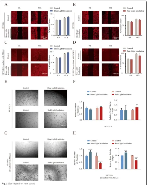 Fig. 3 (See legend on next page.)