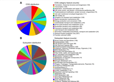 Figure 1 Statistics of annotated genes for Staphylococcus aureus subsp. aureus DSM 20231T based on COG (A) and SEED (B) databases.