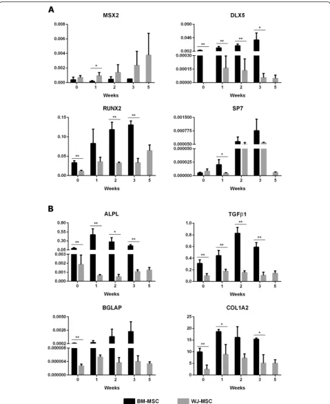 Fig. 2 Gene expression profiles of the main markers involved in osteogenic differentiation
