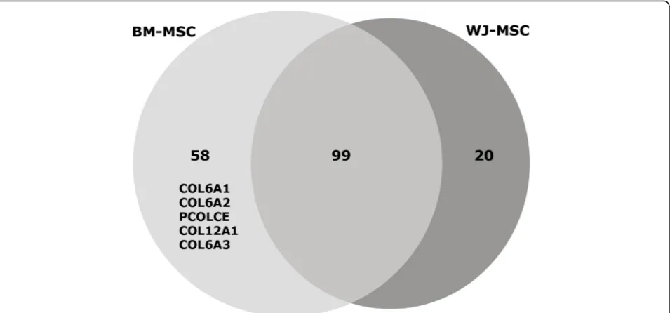 Fig. 4 Osteogenic markers found in undifferentiated BM-MSC- and WJ-MSC-secreted EVs. Number of proteins found in extracellular vesicles (EVs)isolated by size exclusion chromatography (n = 3 different cell lines for BM-MSC and WJ-MSC)