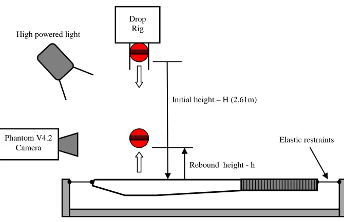 Fig 1. ACoR measurement schematic 
