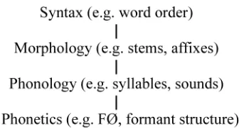 Figure 1: General grammatical hierarchy 