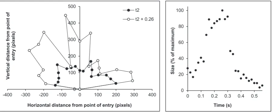 Fig. 3. a) Splash boundary at time of complete entry (t2) and maximum splash (t2 + 0.26 s) relative to point of entry (p1 = 0, 0); b) Size of splash at 0.02 s increments from t2 to end of splash