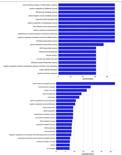 Fig. 2 GO functional and pathway enrichment analysis of differently expressed genes (DEGs) in human colon cancer