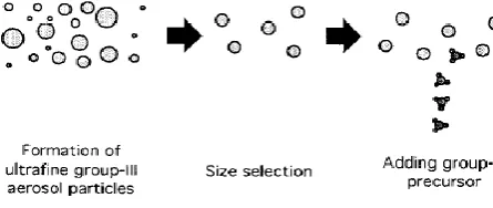 Fig. 3. Schematic diagram showing aerosol generation, sizing and reaction process. ref [18]