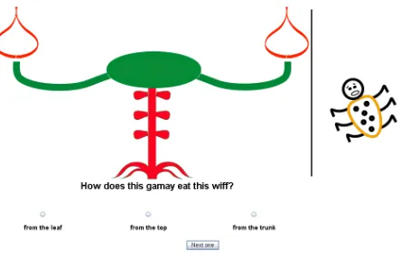 Figure 1: Example of a relation learning stimulus