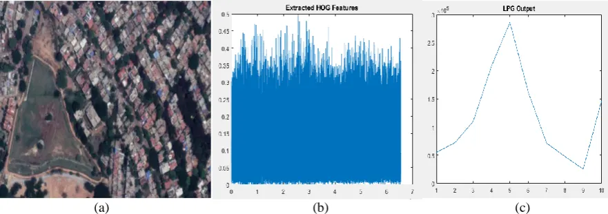 Fig. 2.  (a) Original Image    (b) Extracted HOG Features     (c) LBP Feature Vector standardization for enhanced exactness is utilized and in fig 2(c) The LBP Feature vector, in this figure, is in its least difficult shape, is made in the accompanying way:  