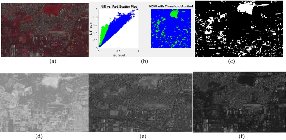 Fig. 3. (a) Original Image. (b) NIR vs. Red Scatter Plot and NDVI with Threshold Applied