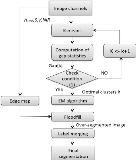 Fig 4: Flow chart of the Image segmentation method. 