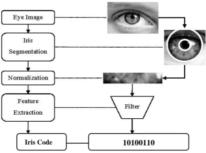 Figure 1 Iris code Extraction process  