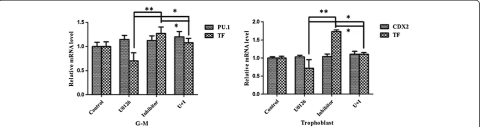 Figure 5 Erk1/2 signaling pathway involved in regulating tissue factor expression in trophoblastic and hematopoietic differentiation ofhuman embryonic stem cells
