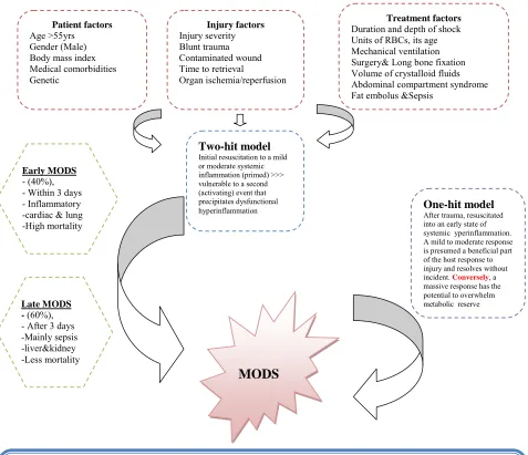Figure 1. Causes, mechanism and types of multiorgan dysfunction syndrome. 