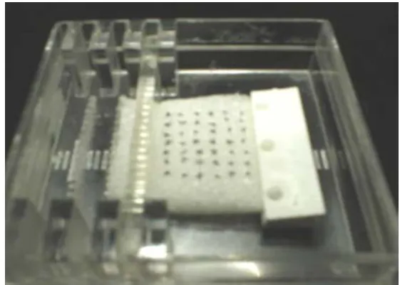 Figure 1Photograph and line drawing of the Gelfoam sponge loaded in a square petri dish with a 6 by 7 grid of dots marked on surfacePhotograph and line drawing of the Gelfoam sponge loaded in a square petri dish with a 6 by 7 grid of dots marked on surface