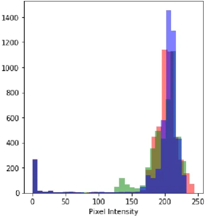 Fig. 4.  Histogram of pixels in cell- Lymphocyte 