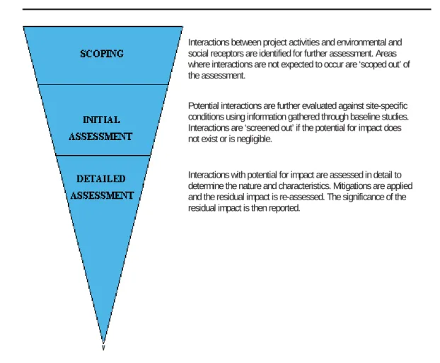 Figure 3.2  Impact Assessment Process 