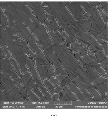 Figure 7: Microstructures of the heat affected zone (a) For MIG weld joint of sample F2; (b)  TIG weld joint of sample F4; (c) TIG-MIG hybrid weld joint of sample F6