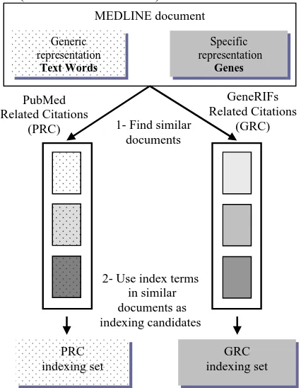 Figure 1: Producing candidate indexing sets with generic and domain-specific representations.