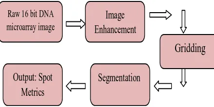 Fig 1: Microarray Image Analysis 