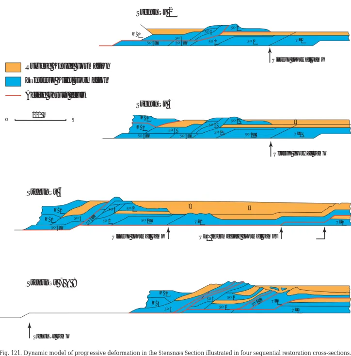 Fig. 121. Dynamic model of progr essive deformation in the Stensnæs Section illustrated in four sequential restoration cross-sections.