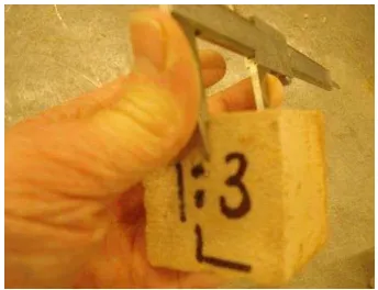 Figure 4: Five test cubes being prepared 