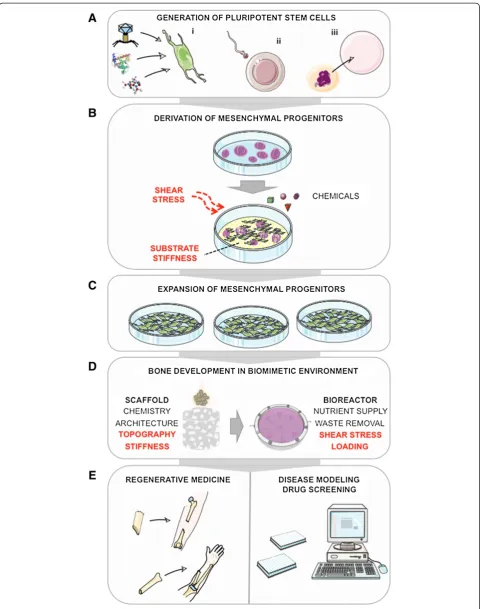 Figure 1 (See legend on next page.)