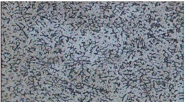 FIGURE 2.15 Weldment area (100X magnification : 1.0mm, 30v) 