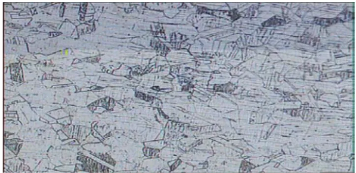 FIGURE 2.15 Weldment area (100X magnification : 1.0mm, 30v) 