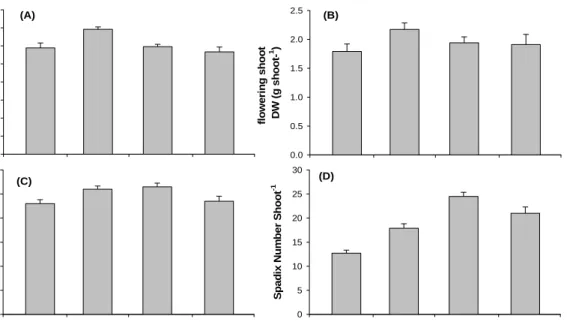 Fig. 8.    Morphological characteristics of FS changes in Hado-ri, JI, Korea. (A) : FS  height, (B) : FS dry weight, (C) : branch number and (D) : number of spadix  per FS 