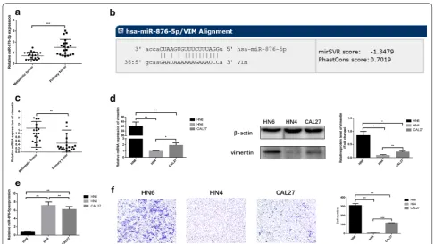 Fig. 1 The expression of miR-876-5p and vimentin expression in HNSCC cell lines and HNSCC tissues
