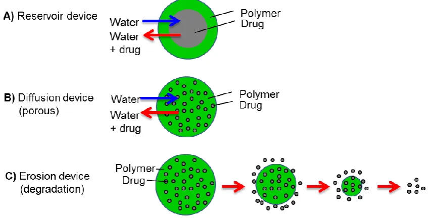 Figure 1.1 Controlled release scenarios for polymer microparticles; (a) reservoir devices, (b) diffusion of drug from porous polymer matrix and (c)  erosion mechanism where the drug molecules are released as they become free from degrading polymer