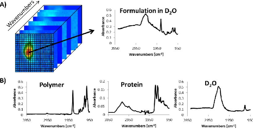 Figure 1.14 Mid-infrared spectroscopic image stack of a protein loaded polymer microparticle in water, showing a pixel spectrum on the right (A) and pure component spectra (B) therein to be extracted from formulation spectra for each pixel