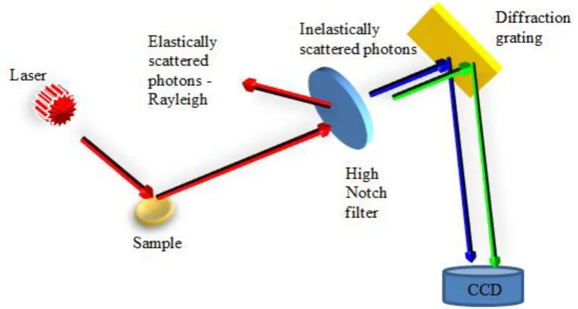 Figure 2.8 Illustration of a typical Raman spectroscopic measurement showing the sample being illuminated with an intense, single frequency light source and the relative frequency shift of the inelastically scattered light which is what is left after filte