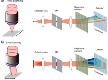 Figure 2.9 Comparison of the point (a) and line-scanning (b) methods for Raman 