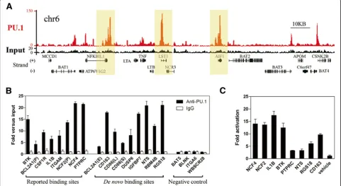 Figure 1 Identification and validation of PU.1 binding regions. (A) The visual representation of PU.1 targets on Chromosome 6 (chr6) partialregions identified through ChIP-seq analysis