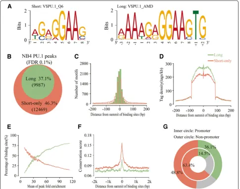 Figure 3 Identification and characterization of enriched motifs within PU.1 binding regions.(orange)
