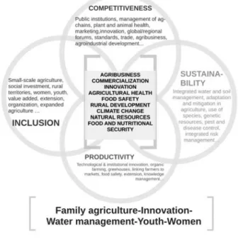 Figure 3. Topics to be addressed by flagship projects and how they are  interrelated.