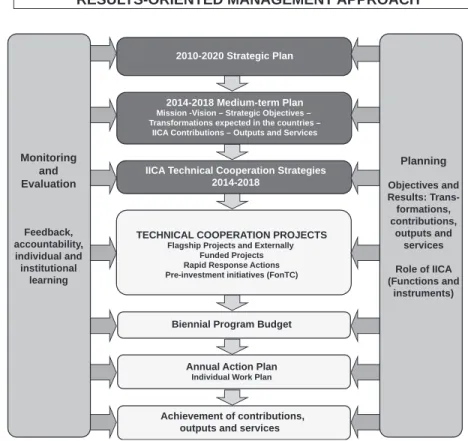 Figure 5.  The Institute’s planning, programming, monitoring and  evaluation system
