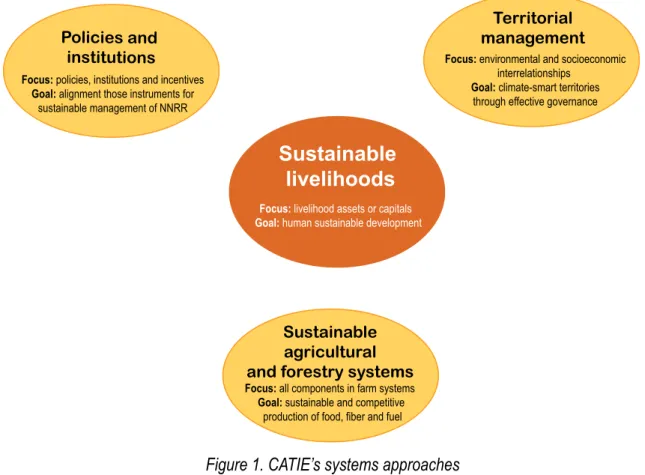 Figure 1. CATIE’s systems approaches