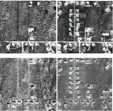 Fig. 2. Experimental Images 